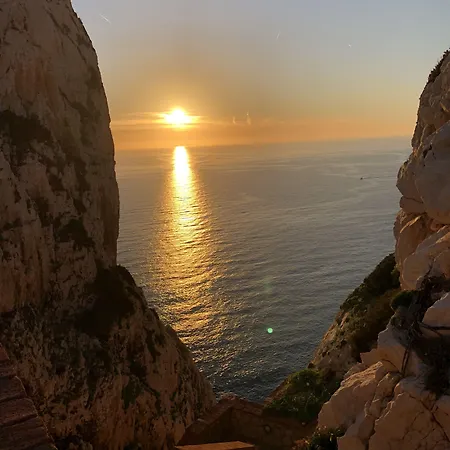 Aigua アルゲーロ