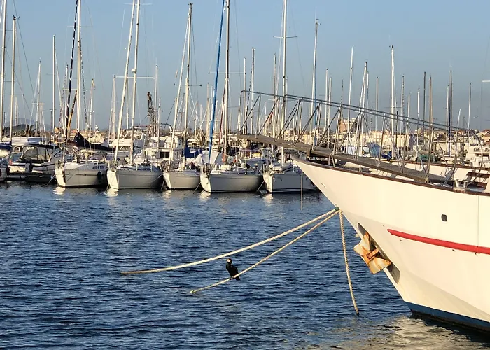 埃古亚酒店 招待所 3*