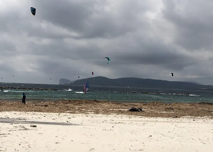 埃古亚酒店 招待所 3*